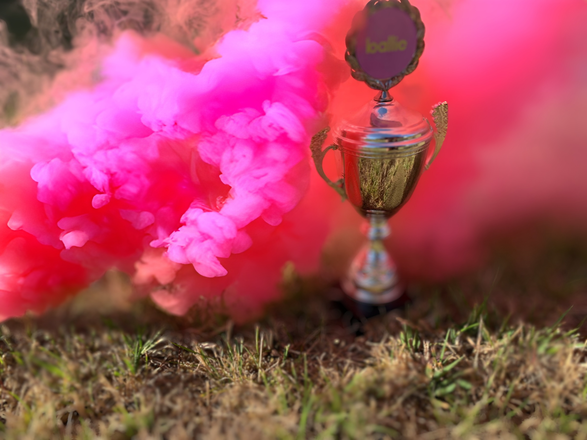 belliebadgealfoto.png, blaadjesorengeythaloivist, accentflauwpaarsehelderheid, roze-witgeleerd unit.